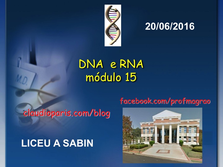 DNA E RNA: ácidos Nucleicos