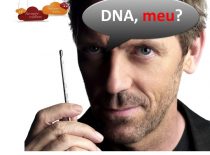 Identificação Por Meio Do DNA