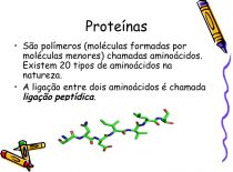 Proteínas – 1os Anos Pessoa