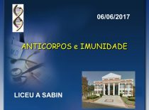 Anticorpos – Imunidade