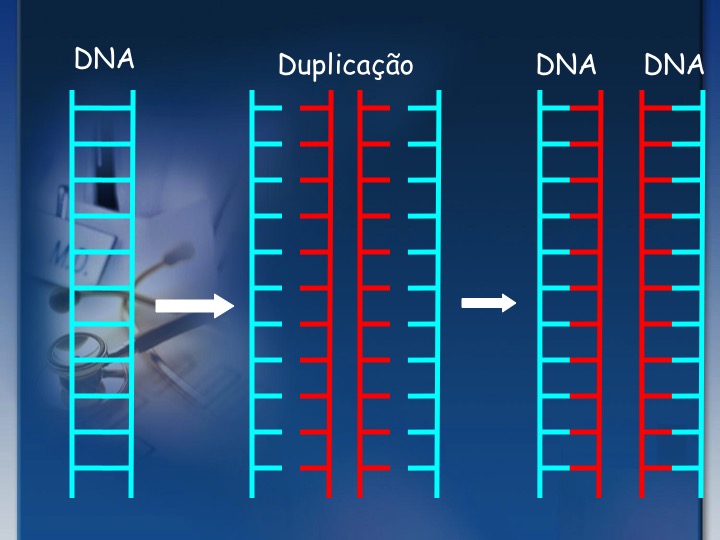 DNA E RNA – 1o Med
