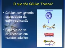 Células-Tronco