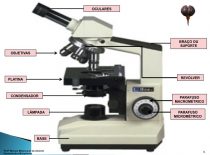 Atividade De Laboratório – Bio Prof. Magrão – Colégio Pessoa